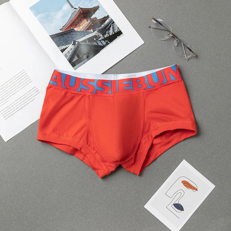 Cotton Underwear for Men, Low Waisted, Sexy Trendy Briefs, Comfortable Sweat-Absorbent, Antibacterial Boxer Shorts, Brand Underp