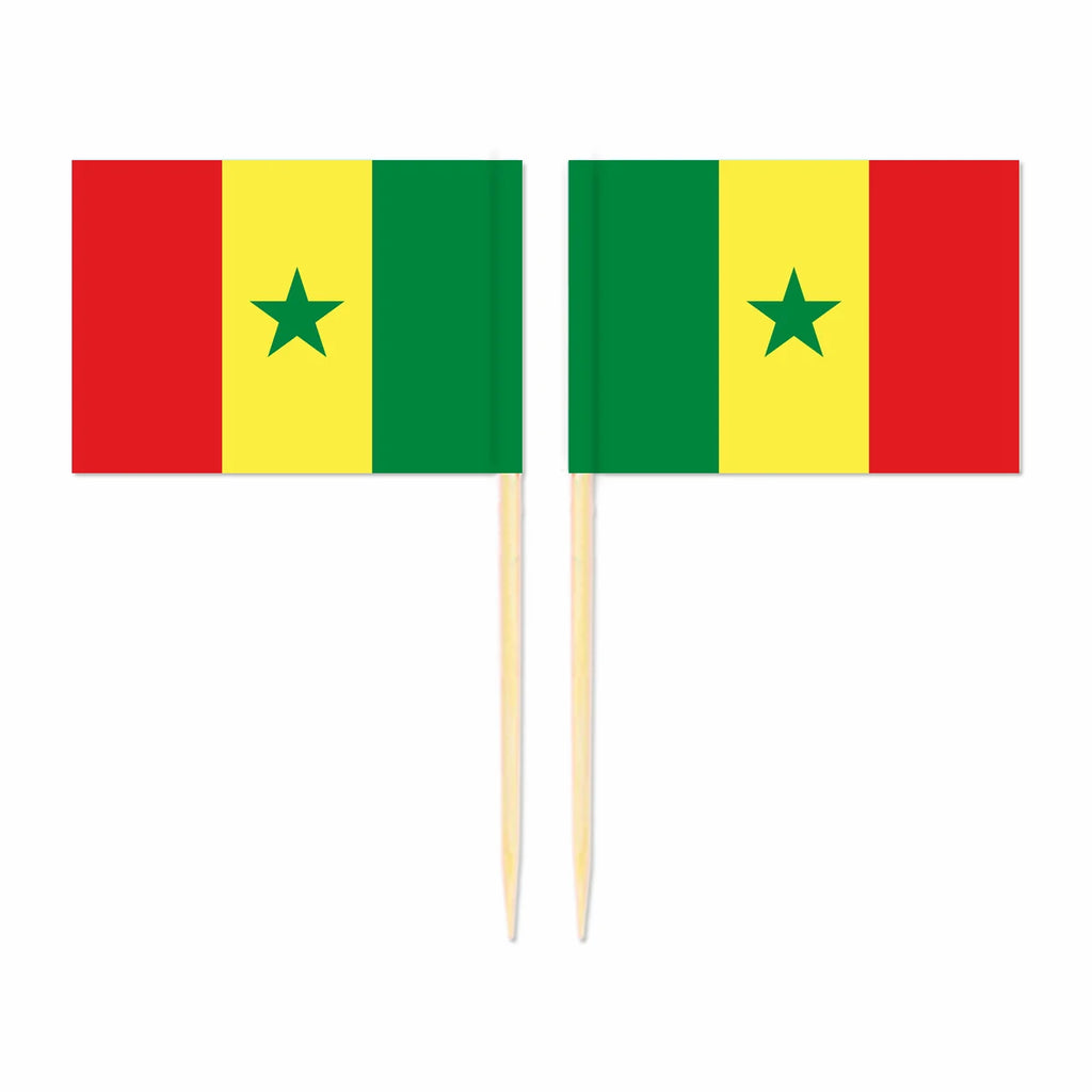 100pcs Africa Disposable Multi National Flag South Africa Toper Flag Ethiopia Congo Ghana zimbabwe Kenya Morocco Tunisia Senegal