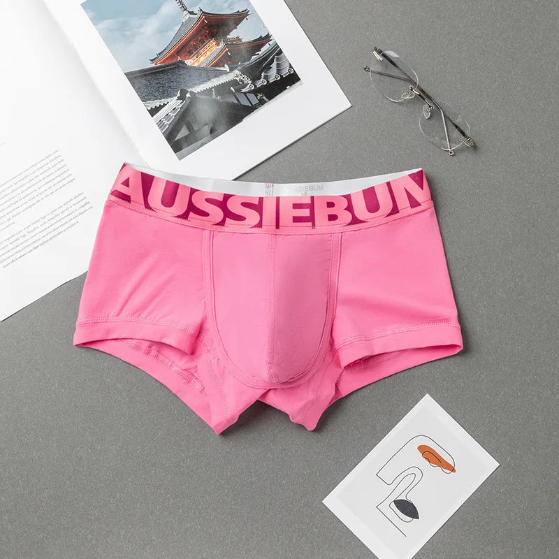 Cotton Underwear for Men, Low Waisted, Sexy Trendy Briefs, Comfortable Sweat-Absorbent, Antibacterial Boxer Shorts, Brand Underp